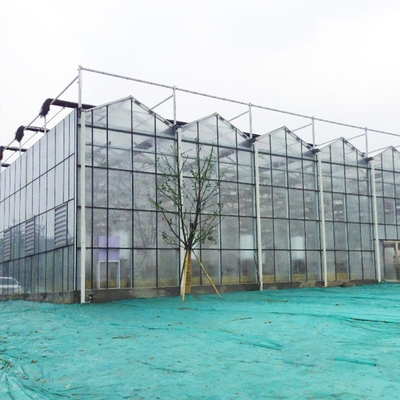Invernadero de cristal solar agrícola creciente hidropónico del sistema para las verduras