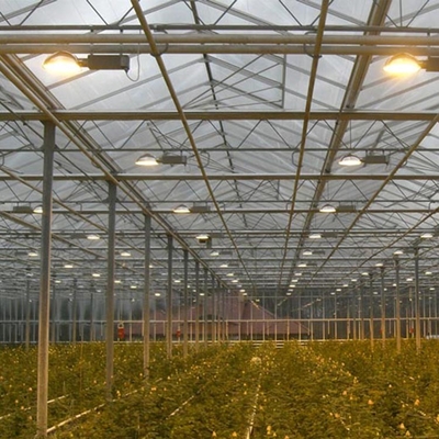 Invernadero de Polycarbonate Multi Span del regulador del clima para la producción vegetal