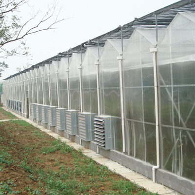 Invernadero de Polycarbonate Multi Span del regulador del clima para la producción vegetal