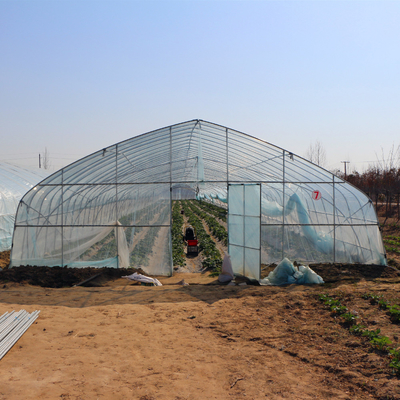 Invernadero solar pasivo automatizado del alto túnel de una sola capa para la fresa
