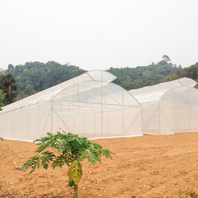 Invernadero del túnel de la película de polietileno de la agricultura para las verduras de los almácigos