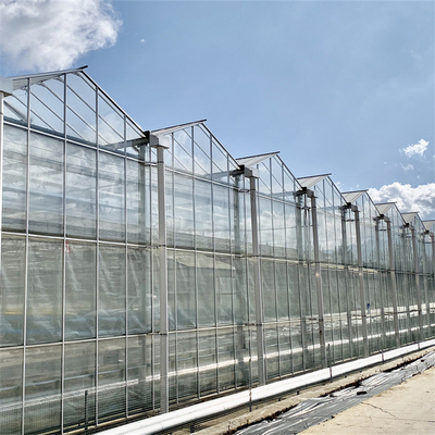 Tipo invernadero de FarmingVenlo de la agricultura para el hidrocultivo vegetal y Aquaponics de los pescados
