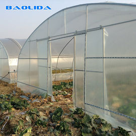 Altas verduras del túnel que plantan el invernadero vegetal de la película plástica del túnel del solo palmo