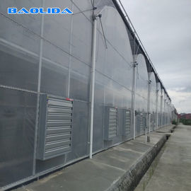 Invernadero plástico resistente de la cubierta de la película del PE/invernadero polivinílico prefabricado de la tecnología