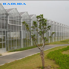El tipo multi comercial vidrio de Venlo del invernadero del palmo cubrió agrícola