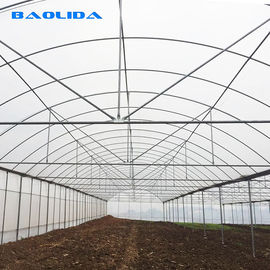 El plástico transparente crece el invernadero plástico del túnel/del túnel de la granja de la agricultura