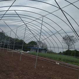 Ayuda plástica de la agricultura de la granja del polietileno del invernadero del túnel del solo palmo