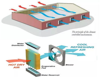 Sistema de enfriamiento del invernadero de Diy/sistema de enfriamiento ISO9001 del cojín del invernadero