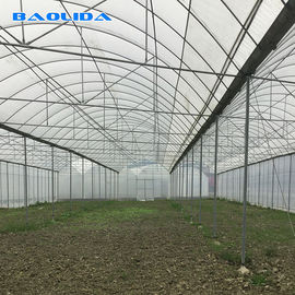 Invernadero de gran tamaño de la película plástica/invernadero los 20m - el 100m de la agricultura largo