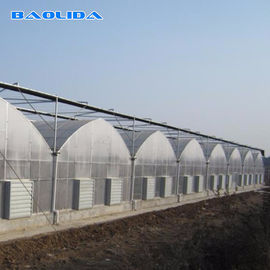 Invernadero multi del palmo del invernadero agrícola de la irrigación de regadera de Multispan los 9m