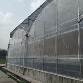 Invernadero dar salida a Kit Multi Span Greenhouse del policarbonato de Coverd de la película de 200 micrones