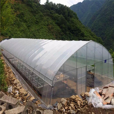 Palmo sumergido caliente 10m del marco de acero de la resistencia ULTRAVIOLETA el solo hace un túnel el invernadero plástico