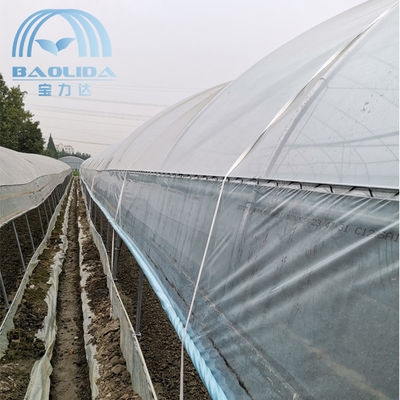 Invernadero plástico del solo túnel del palmo alto con el sistema de ventilación del tejado