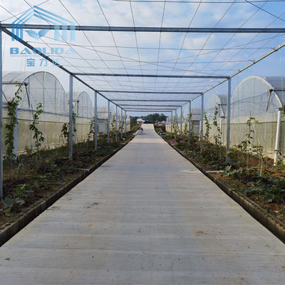 invernadero multi estándar del palmo de la película de 0.2m m para las flores vegetales de las frutas