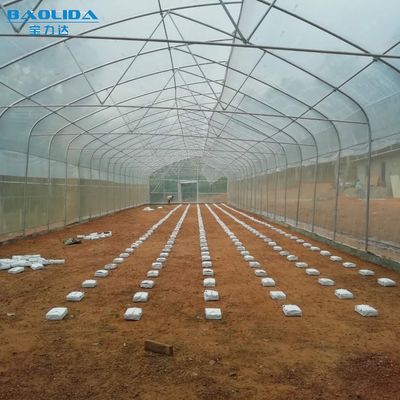 El túnel grande molió el invernadero de la película de polietileno modificado para requisitos particulares para el tomate