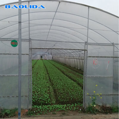 El túnel grande molió el invernadero de la película de polietileno modificado para requisitos particulares para el tomate