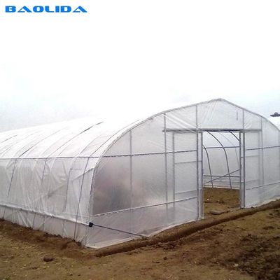 Película plástica del túnel del solo invernadero vegetal agrícola del palmo 150 micrones