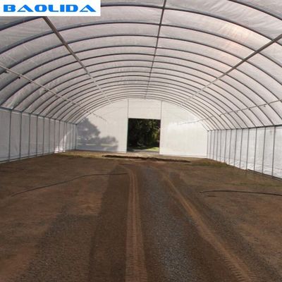 Película plástica del túnel del solo invernadero vegetal agrícola del palmo 150 micrones