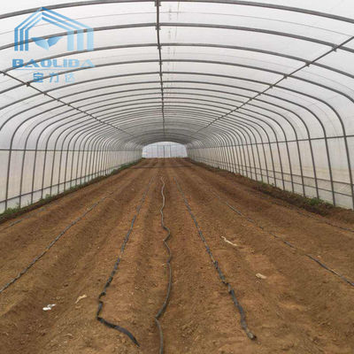 Invernadero plástico del solo del palmo del túnel de la fresa PE túnel agrícola del invernadero
