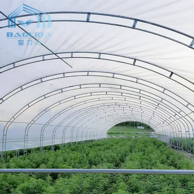 Solo invernadero del palmo del arco de la ventilación doble del lado para el crecimiento de la fresa de la agricultura