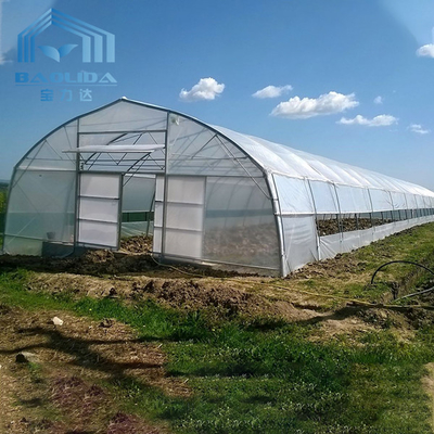 Invernadero plástico agrícola del aro del invernadero del túnel para crecer vegetal