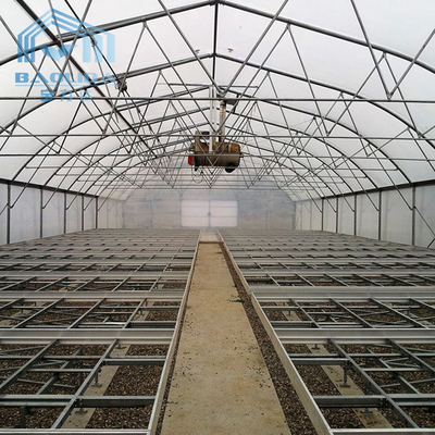 Invernadero plástico agrícola del aro del invernadero del túnel para crecer vegetal