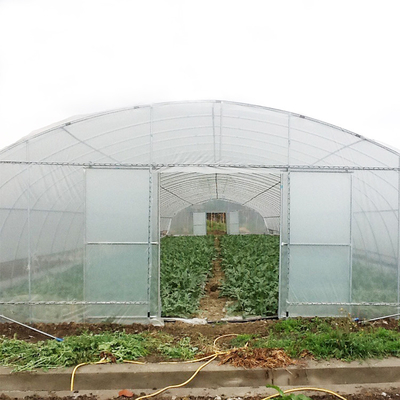 La planta tropical plástica del tejado de la ventilación del túnel redondo del invernadero crece
