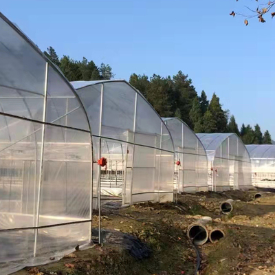 invernadero de la película de las láminas de plástico del palmo de la longitud de los 30m solo para el cultivo del tomate