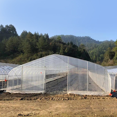 Invernadero polivinílico plástico de la tecnología del tamaño grande/solo invernadero agrícola del palmo