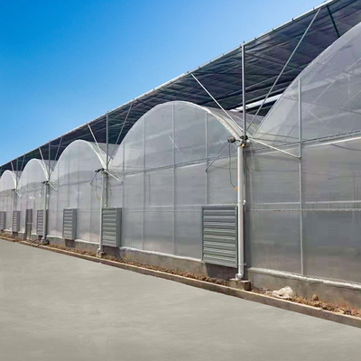 Cultivo de cristal transparente de la planta de invernadero de Multispan del túnel