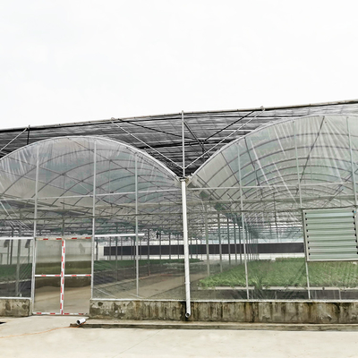 Invernadero multi agrícola galvanizado del túnel del palmo de la película plástica de la tubería de acero para la verdura