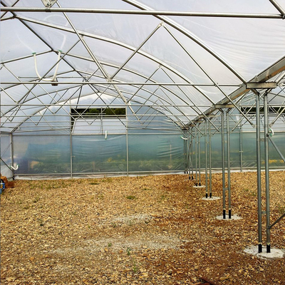 Los invernaderos agrícolas galvanizados del palmo multi del marco de acero florecen el crecimiento vegetal