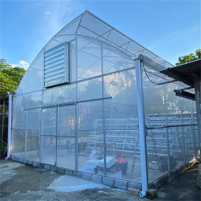 Anchura de goteo anti de los 10m del invernadero de la película plástica para el establecimiento del tomate