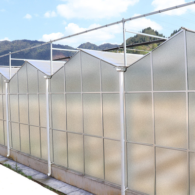 Capa transparente del marco de acero del cuadrado del invernadero claro del policarbonato de la película de la agricultura