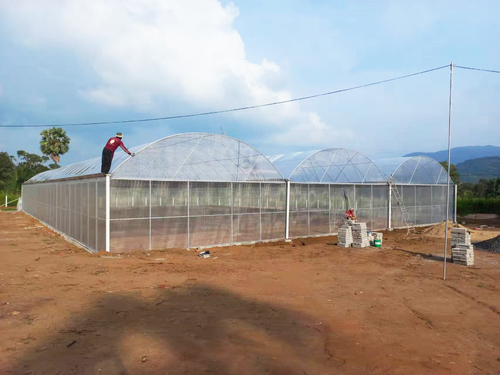 último caso de la compañía sobre Invernadero del Multi-palmo de Sri Lanka los 24*36m