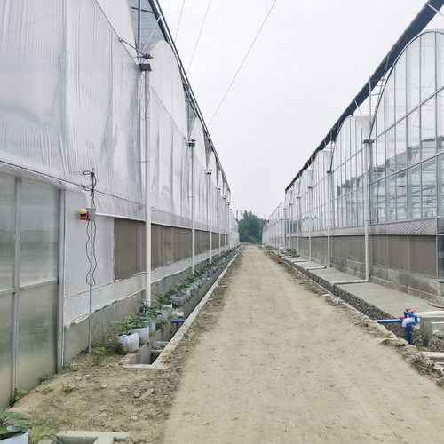 último caso de la compañía sobre Proyecto del invernadero del Multi-palmo de Yunnan