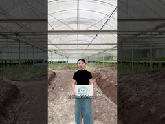 ¿Listo para elevar su juego de agricultura?