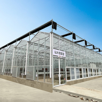 Calidad  Multi Span Hyroponic Galvanized Float Venlo Greenhouse Glass Agricultural Kits fábrica