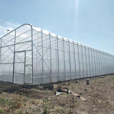 Calidad  Plastic Film Solar Passive Greenhouse With Rainwater Collection Support fábrica