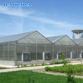 Calidad  Commercial Polycarbonate Sheet Greenhouse / PC Sheet Greenhouse Customized Material fábrica