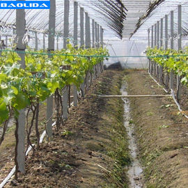 Calidad  Small Greenhouse Irrigation System / Greenhouse Auto Watering System fábrica