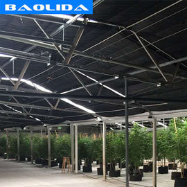 Calidad  Advanced Automated Blackout Greenhouse Full Auto Light Deprivation Hemp Growing fábrica