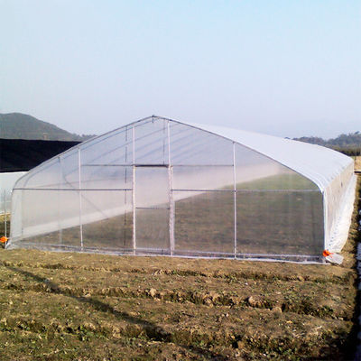 Calidad  High Strength Agricultural Poly Tunnel Tomato Greenhouse 5*15m 17*50ft fábrica