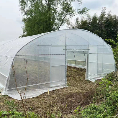Calidad  Strawberry Growing Side Ventilation Single Span Greenhouse For Agriculture fábrica