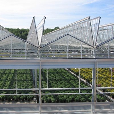 Invernadero de cristal solar agrícola creciente hidropónico del sistema para las verduras