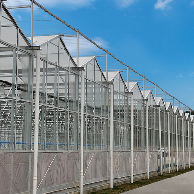 Invernadero hidropónico del vidrio de fibra del palmo multi agrícola para el crecimiento de verduras