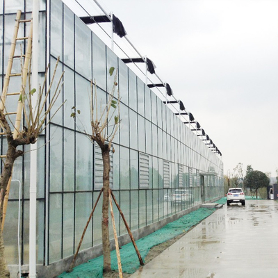Tipo de cristal moderado agrícola invernadero de Venlo con la columna de 48m m