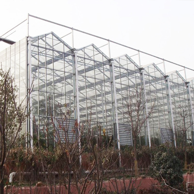 Tipo transparente agrícola invernadero de Venlo para las flores de las frutas