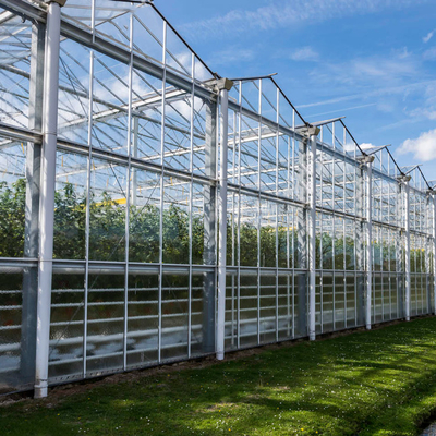 Tipo transparente agrícola invernadero de Venlo para las flores de las frutas