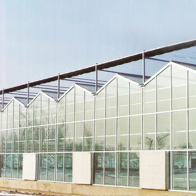 El vidrio moderado Venlo artesona el sistema automático de Europa del invernadero del marco de acero